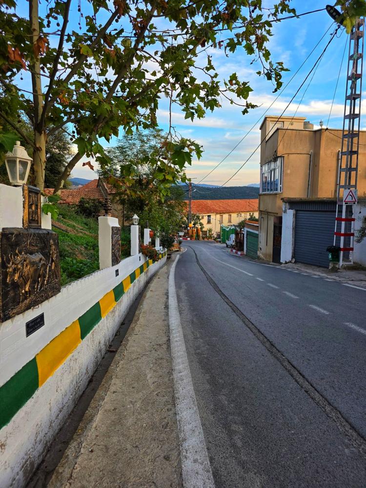 Allée bordée de murs colorés