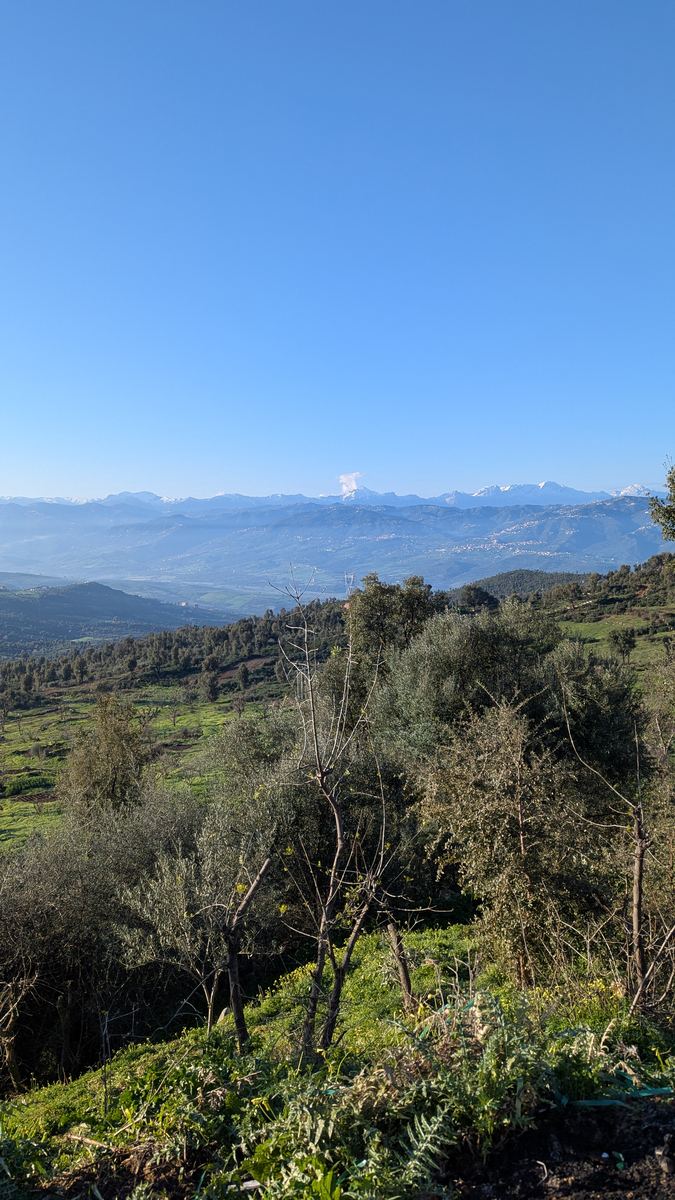 Oliveraies et montagnes enneigées du Djurdjura